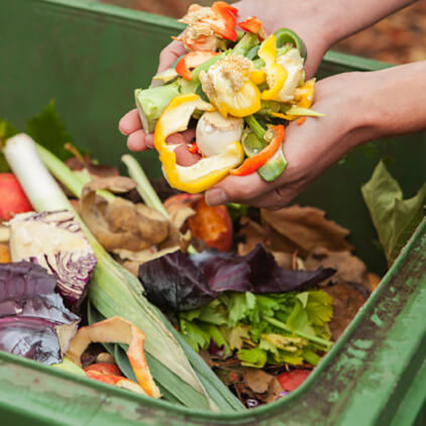 déchets alimentaires dans un compost